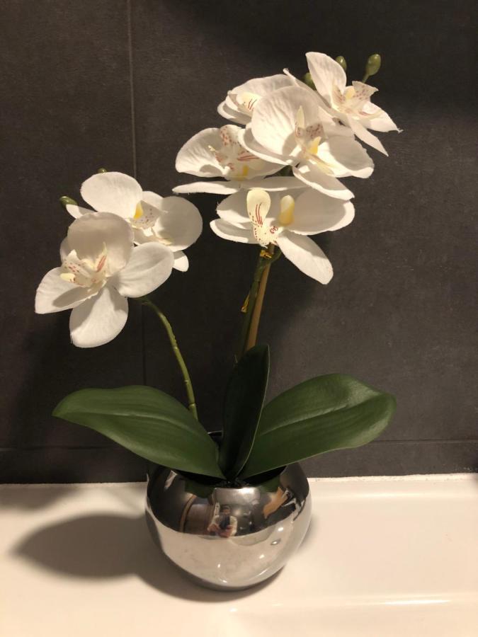 Apartament Chopina Łomianki エクステリア 写真
